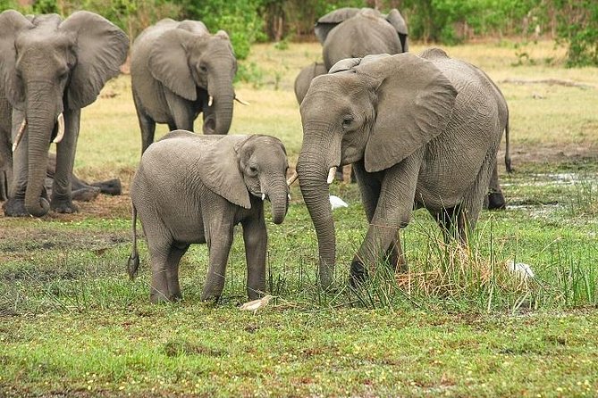 Day Trip – Tarangire National Park