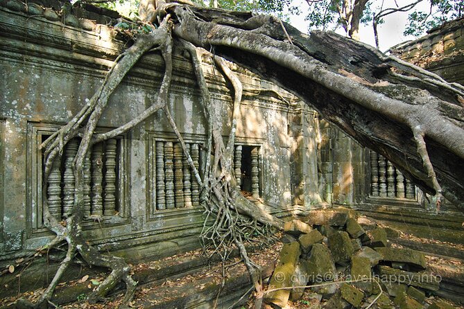 Day Trip to Beng Mealea Temple and Kampong Khleang From Siem Reap - Tour Highlights