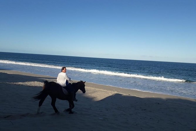 Day Trip to Macaneta Beach + Horse Ride - Logistics