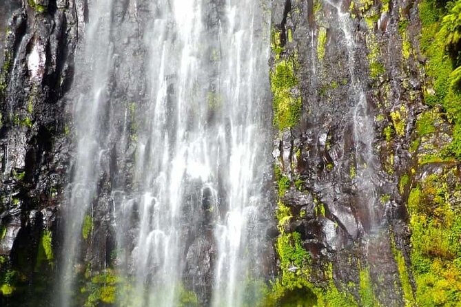 Day Trip to Materuni Waterfall, Coffee Tour and Moshi Nightlife - Moshi Nightlife: Local Hotspots Unveiled
