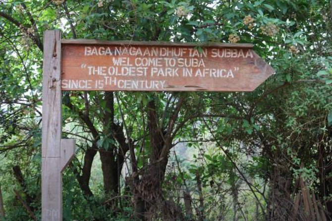 Day Trip To Menagesha Suba Forest - Pricing Information