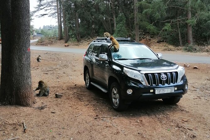 Day Trip to Middle Atlas Mountain and Berber Villages From Fes - Itinerary Highlights