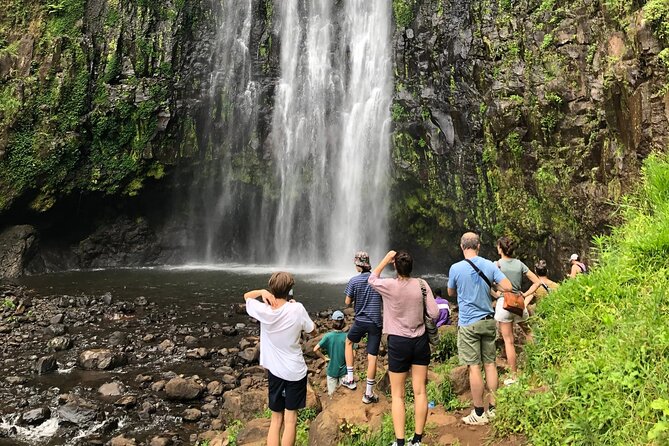 Day Trip to Mount Pare - Location and Pricing