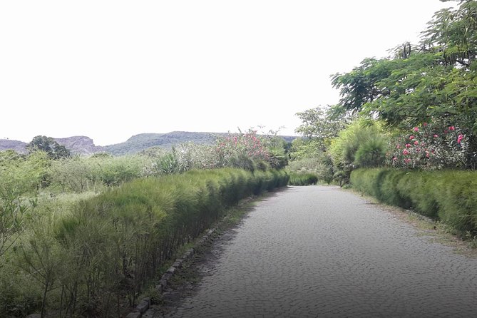 3 Best Spa And Hot Springs Experiences In Addis Ababa