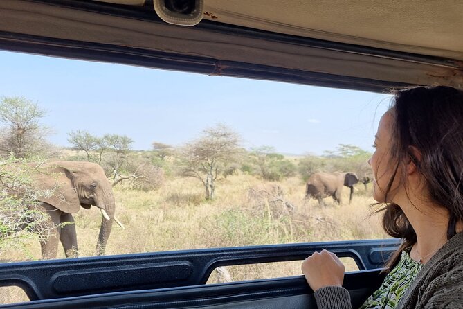 Day Trip to Tarangire National Park. - Tarangire National Park Overview