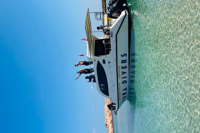 Daymaniyat Islands Snorkeling 2 Different Snorkeling Sites and Lunch Included - Tour Details