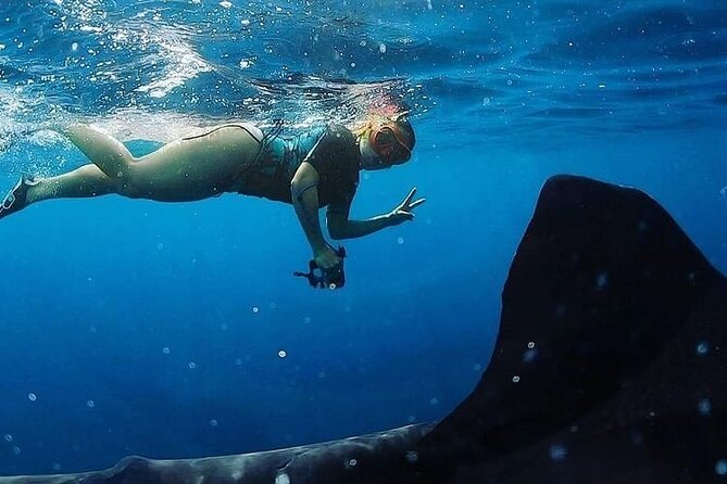 Daymaniyat Islands Snorkeling Half-Day Tour