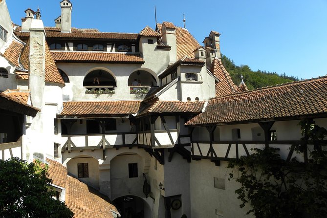 Daytour to Bran "Dracula'S" Castle + Peles Castle + Wine Tasting at Azuga Cellar