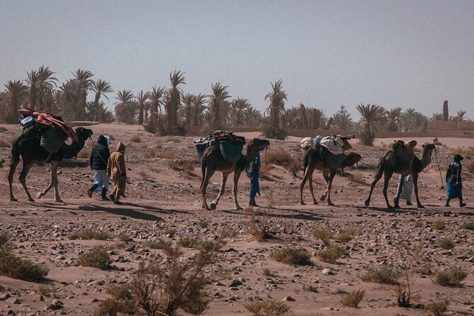 Desert Hike for 6 Days and 5 Nights - Itinerary Overview