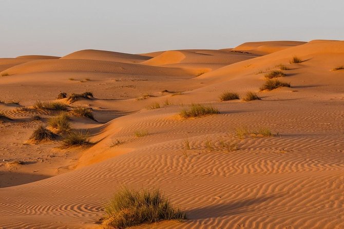 Desert Safari Private - Tour Overview
