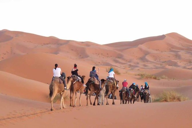 Desert Tour From Fez To Marrakech 3 Days / 2 Nights - Important Information