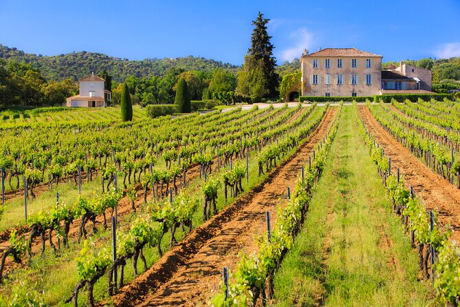Dinner in the Vineyard Saint Tropez - Cancellation Policy