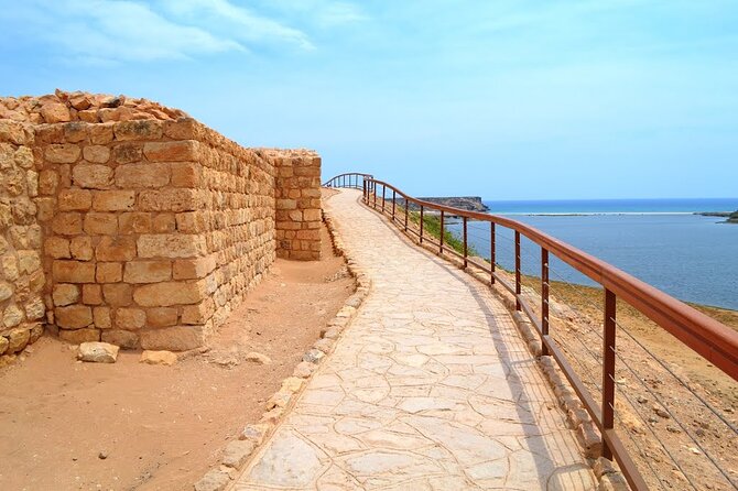 Discover Dhofar (East and West) White Beach, Waterfall, Camels & Mountains