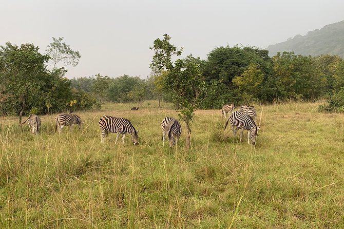 Discover Nature at Shai Hills and Akosombo: Wild Animals, Caves & Volta Lake - Lake Volta Lunch and Scenic Views