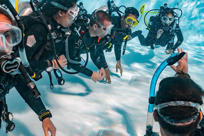 Discover Scuba Diving Experience - Participant Information