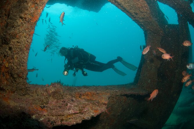 Discover Scuba Diving in Sal - Small Group for Personalized Training