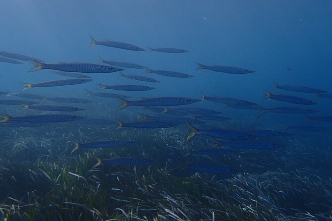 Discover Scuba Diving in Santorini - Cancellation Policy