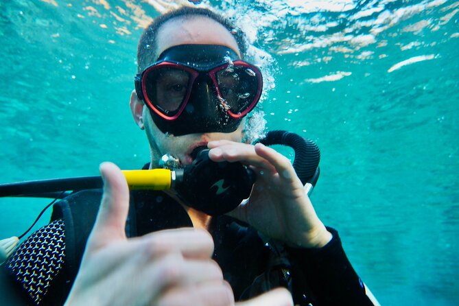 Discover Scuba Diving - Indroductory Dives - Pricing and Booking Details