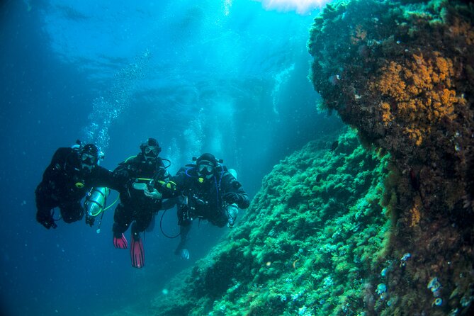 Discover Scuba Diving PADI - Trial Dive in Sorrento - Location