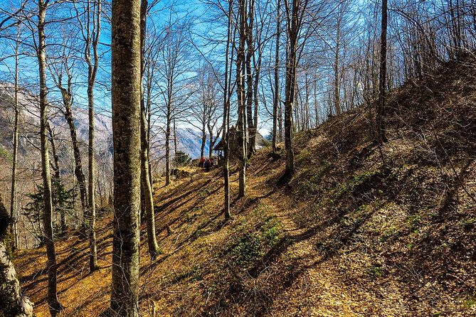 Discover Stunning Cvrsnica Mountain - Hike Down Kings Old Hunting Trail - What To Expect and Cancellation Policy