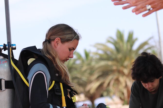 Discover the Depths: Aqabas Ultimate Private Dive Experience - Tour Overview