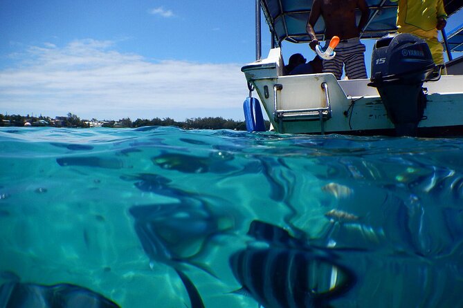 Discover the East of Mauritius: Full-Day All-Inclusive Tour (Visit to 3 Parks) - Additional Details