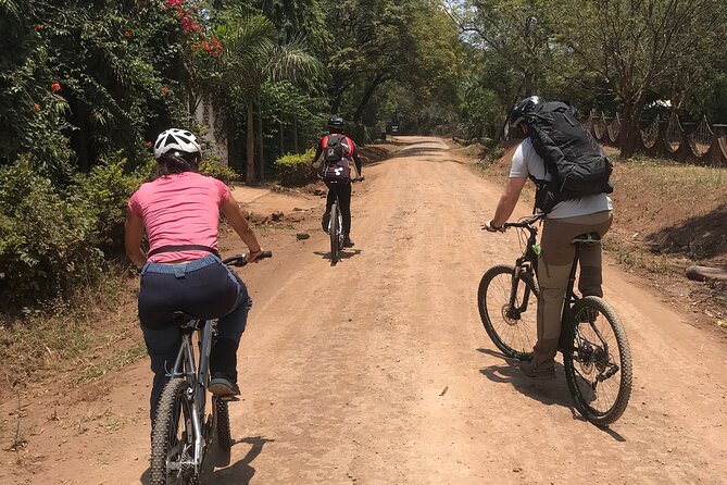 Discover the Serenity of Rau Forest on a Half-Day Bike Tour