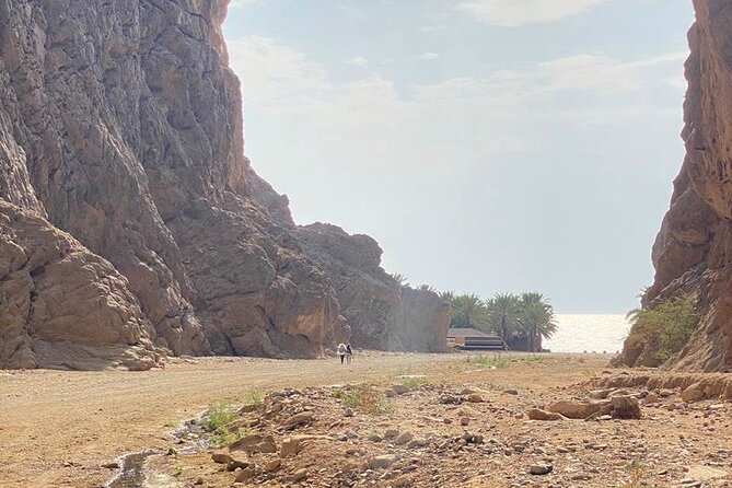 Discover the Spirit of Tabuk: 3 Days Tour Package