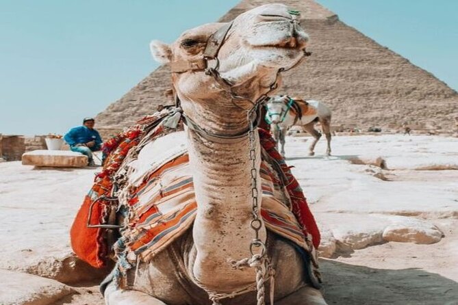 Discover the Treasures of Cairo: Small Group Tour From Hurghada - Tour Details
