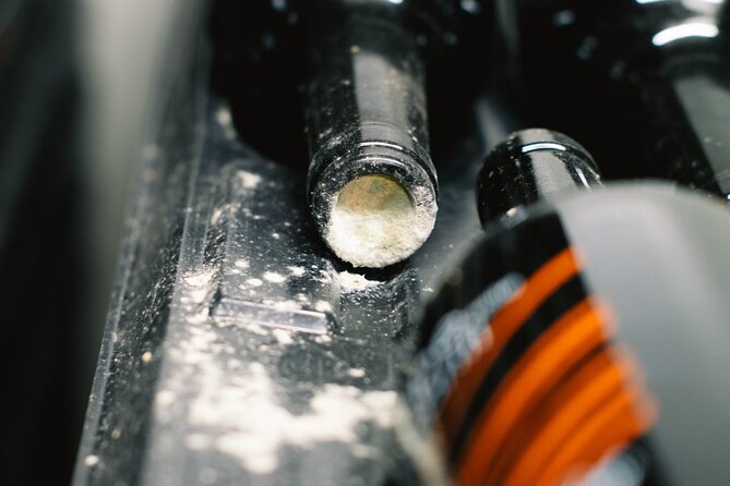 Discover the True Tintilia of Molise, Authentic and Excellent - Molise Wine Region Overview