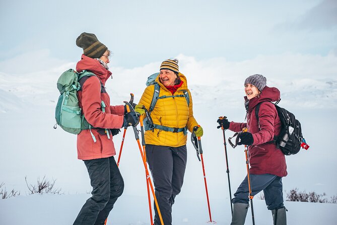 Discover Winter Norway – 2 Days in Jotunheimen (From Oslo) - Tour Details
