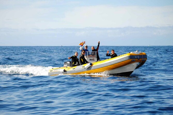 Diving for Beginners by Boat From Puerto Colon - What to Expect During Diving