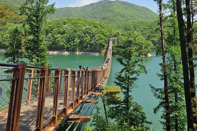 DMZ Tour Korea From Seoul (Optional : Suspension Bridge) - Inclusions and Logistics