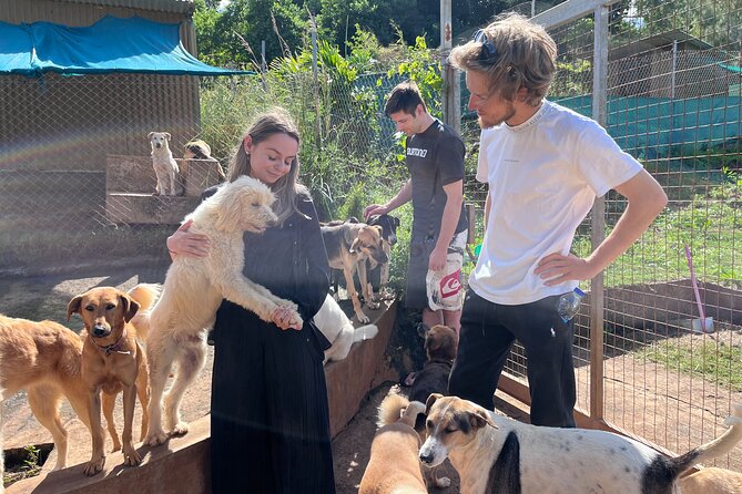 Dog Lovers Guided Tour of the Happy Tails Sanctuary - Meeting Point Details