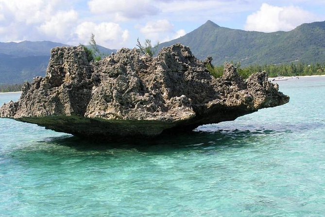 Dolphin Experience in Open Sea and South West Tour of Mauritius Including Lunch - Inclusions and Experiences