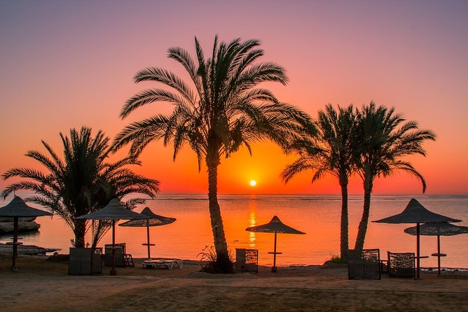 Dolphin House Snorkeling - Hurghada - Location Details