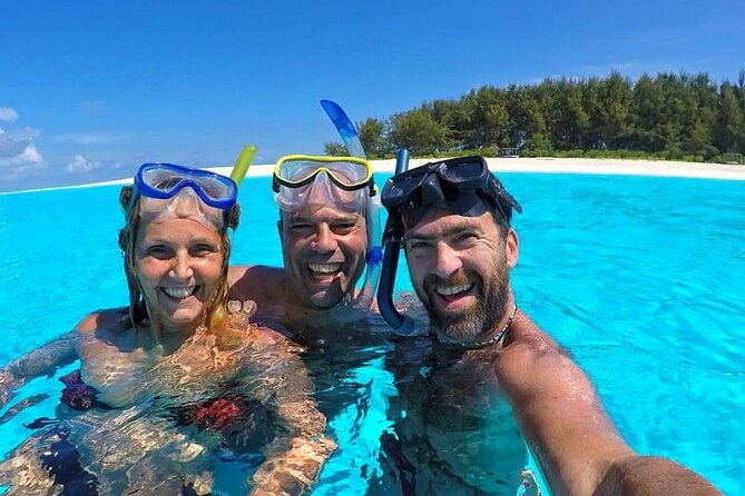Dolphin Tour & Snorkeling at Mnemba Island - Tour Highlights