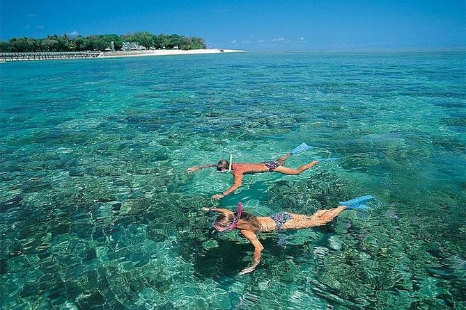 Dolphins and Snorkeling at Mnemba Island Reef - Snacks Included - Additional Information