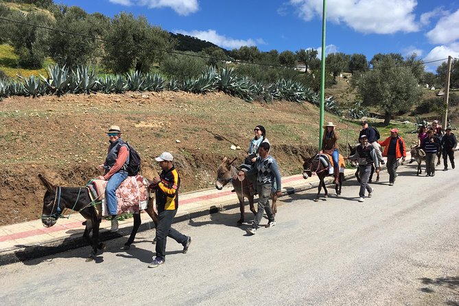 Donkey Ride to Volubilis - Inclusions