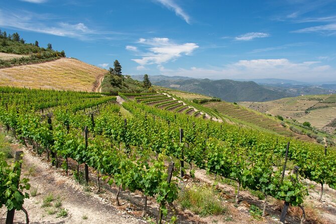 Douro Valley Private Tour With Wine Tastings From 2 Wineries - Location and Duration
