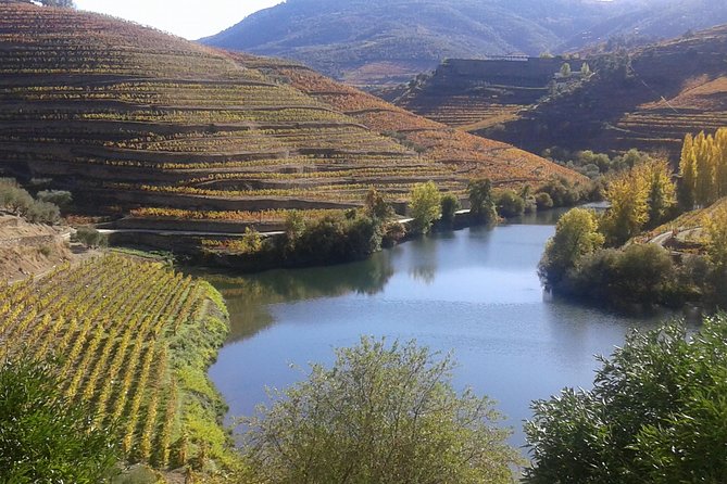 Douro Valley - Régua - With Local Wine and Food Tasting - Inclusions and Exclusions