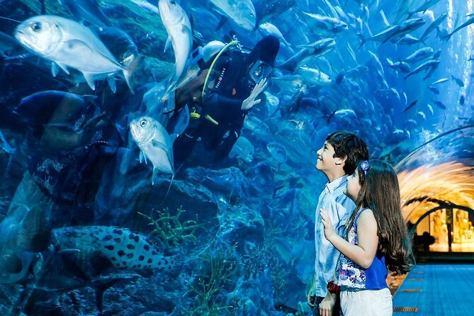 Dubai Aquarium & Underwater Zoo