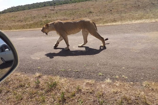 Early Morning Group Joining Mini Safari To Nairobi National Park - Reviews