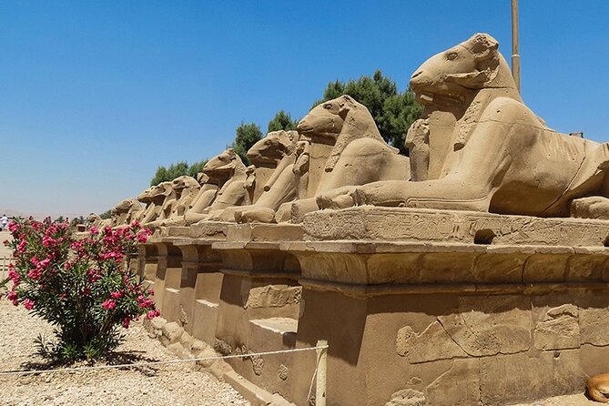 East Bank Karnak and Luxor Temple Full-Day Tour - Tour Exclusions