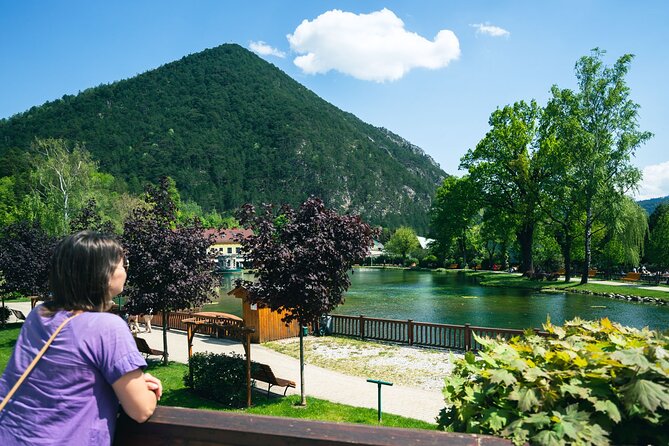 Easy Hiking Alpine Panorama Paradise Private Tour From Vienna - Itinerary Highlights