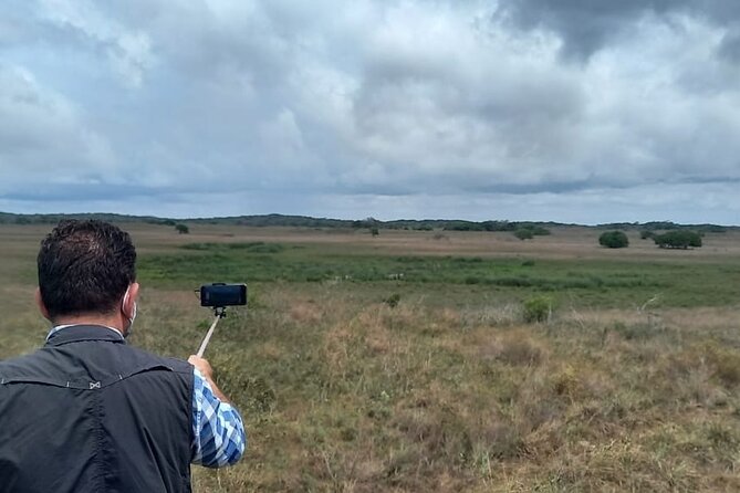 Economic 1Day Maputo Special Reserve Safari(Maputo National Park)