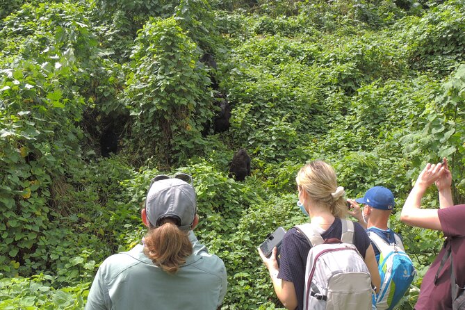 Eight Days Uganda Primate Trekking and Game Safari.