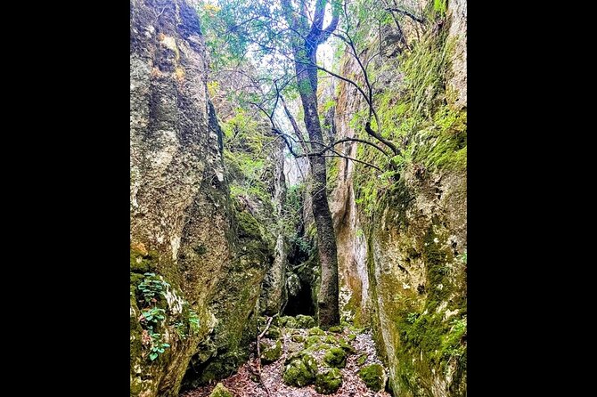 Enchanted Forest Hike and Wine Tasting Private Tour - Inclusions