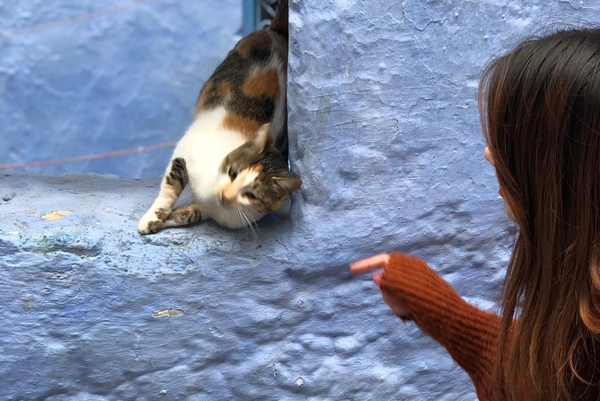 Enchanting Chefchaouen: Discover the Magical Blue City on Budget
