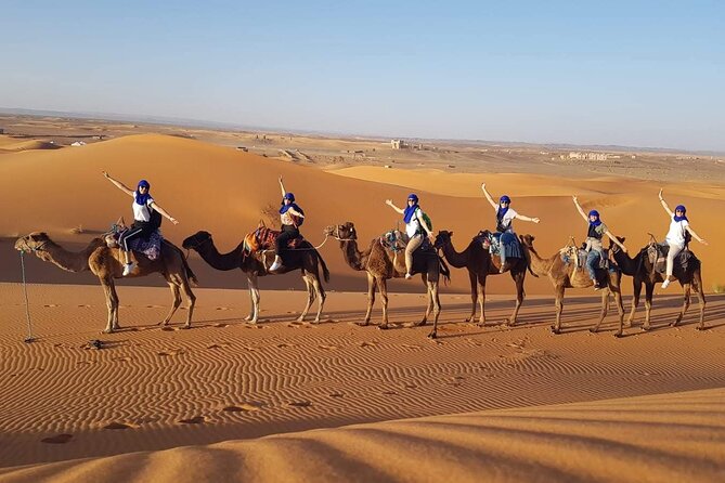 Enjoy the Desert. - Location and Services